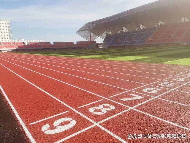 bsports必一体育混合型塑胶跑道材料(图1)