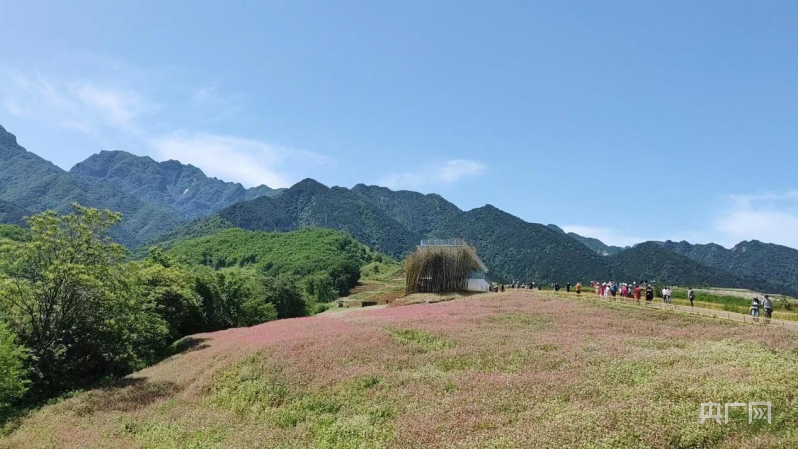 必一运动陕西蓝田：因地制宜突出特色放大优势 助力乡村高质量振兴(图1)